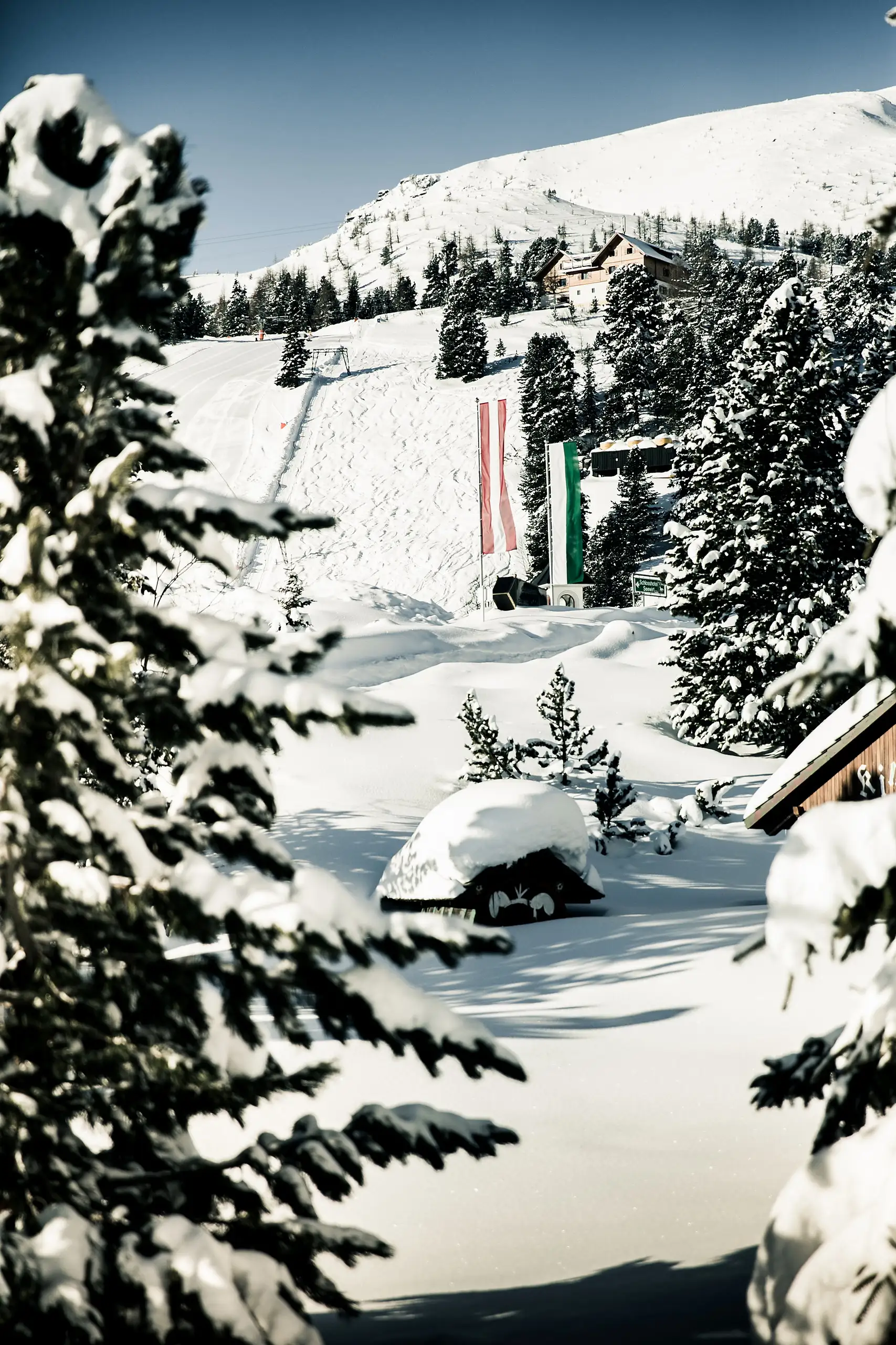 Verschneite Zirben mit Blick auf die Piste beim Schlosshotel Seewirt
